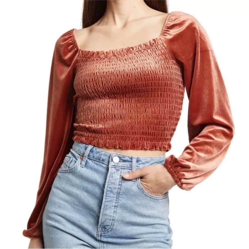 NWT Elodie Women's Velvet Smocked Long Puff Sleeve Top M Rust Velour‎ Crop Boho